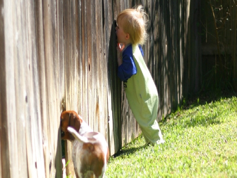 <strong>检查精索静脉曲张费用（试管hcg4.42）</strong>